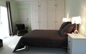 Studio Canopée